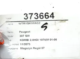 Peugeot 307 Purkštukų (forsunkių) komplektas 9641742880