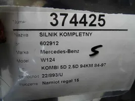 Mercedes-Benz E W124 Motore 6050110201