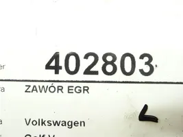 Volkswagen Golf V EGR-venttiili 03G131501