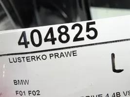 BMW 7 F01 F02 F03 F04 Elektryczne lusterko boczne drzwi przednich 