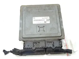 Volkswagen PASSAT B6 Centralina/modulo motore ECU 03L906023GL