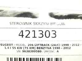 Peugeot 206 Sterownik / Moduł skrzyni biegów 9638399580