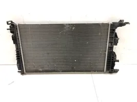 Renault Scenic III -  Grand scenic III Coolant radiator 214100002R