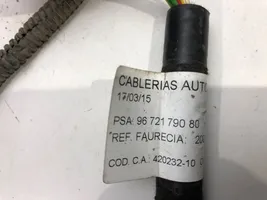 Citroen C4 II Faisceau câbles PDC 9672179080