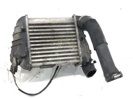 Audi A4 S4 B7 8E 8H Starpdzesētāja radiators 038906051C