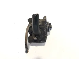 Fiat Ducato Power steering pump 