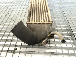 Ford Transit Chłodnica powietrza doładowującego / Intercooler 1C159L440BE