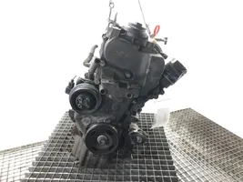 Volkswagen Scirocco Engine CAV