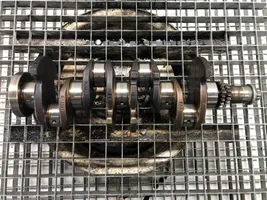 Volkswagen Touran I Crankshaft BLG