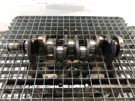 Volkswagen Touran I Crankshaft BLG