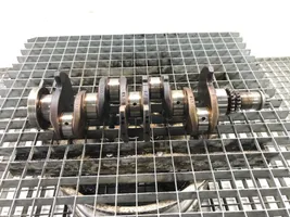 Volkswagen Touran I Crankshaft BLG