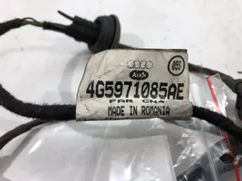 Audi A6 S6 C7 4G Cableado del sensor de aparcamiento (PDC) 4G5971085AE