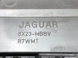 Jaguar XJ X351 Rivestimento della console di illuminazione installata sul rivestimento del tetto 