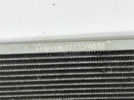 Citroen C4 I Picasso Dzesēšanas šķidruma radiators 
