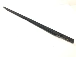 Ford Focus Front door trim (molding) 