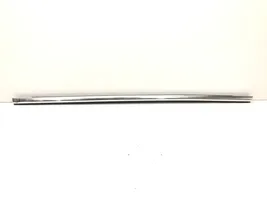 Ford Focus Rear door trim (molding) 