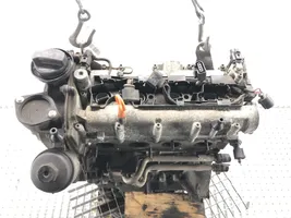 Volkswagen Golf V Engine BLF