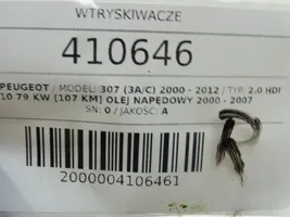 Peugeot 307 Wtryskiwacze / Komplet 0445110076