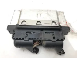 Skoda Fabia Mk3 (NJ) Komputer / Sterownik ECU silnika 