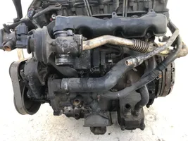 Ford Transit Motor 