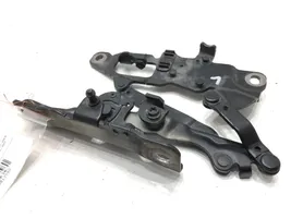 BMW 5 F10 F11 Cerniere del vano motore/cofano 7249887