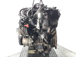 Nissan Pathfinder R51 Motore YD25DDTI