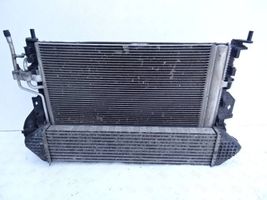Ford Grand C-MAX Set del radiatore 1137328567