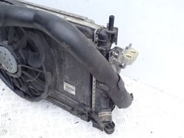 Volvo V50 Radiator set 