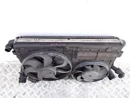 Volkswagen PASSAT B7 Set del radiatore 