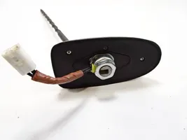 Toyota RAV 4 (XA40) Antenna autoradio 