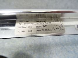 Mercedes-Benz S C217 Autres pièces intérieures 2176900680
