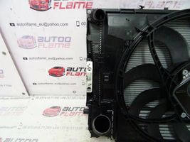 BMW 4 F32 F33 Set del radiatore 