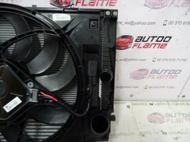 BMW 4 F32 F33 Set del radiatore 