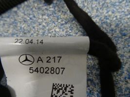 Mercedes-Benz S C217 Cablaggio porta anteriore 2175402807