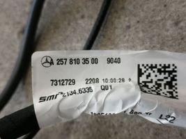 Mercedes-Benz CLS C257 Elektryczne lusterko boczne drzwi przednich A2578103500