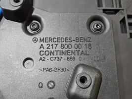 Mercedes-Benz S C217 Serbatoio del vuoto A2178000018