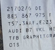 Audi A4 S4 B7 8E 8H Apatinis, bagažinės šono, apdailos skydas 8E5867975F