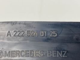 Mercedes-Benz S W220 Kita kėbulo dalis A2225240125