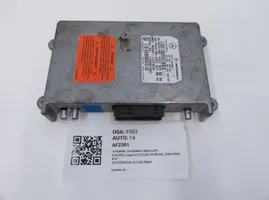 Mercedes-Benz CL C215 Phone control unit/module A2218205226