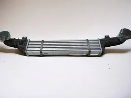 Mercedes-Benz E W210 Radiatore intercooler A2105000400