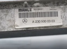 Mercedes-Benz SL R230 Radiatore di raffreddamento A2305000303