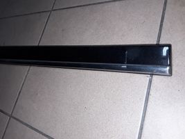 Mercedes-Benz S W220 Front door trim (molding) A2206900562