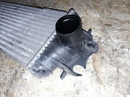 Renault Trafic II (X83) Intercooler radiator 