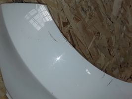 Ford Fiesta Fender 