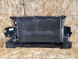 Renault Megane III Radiator support slam panel 