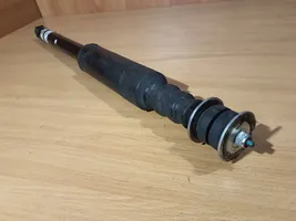 Dacia Spring Rear shock absorber/damper 562103041R