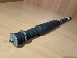 Dacia Spring Rear shock absorber/damper 562103041R