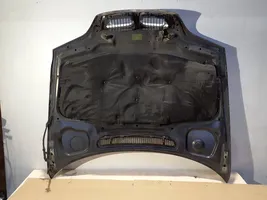 BMW 3 E46 Engine bonnet/hood 