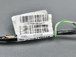 Dacia Sandero Cableado de puerta trasera P241265843R