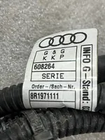 Audi Q5 SQ5 Maakaapeli, akku 8R1971111